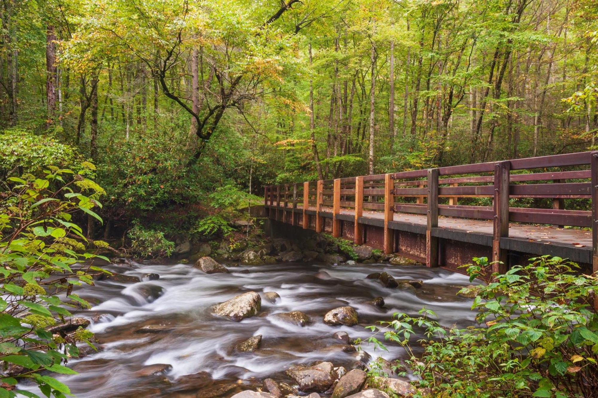 A Higher Calling, 1089 Of Free Area Attraction Tickets For Each Paid Day, Dollywood And More! Pigeon Forge Zewnętrze zdjęcie